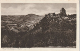 5168 NIDEGGEN, Blick Auf Die Ruine, 1927, Verlag Krapohl - Dueren
