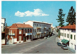 TRECATE - PIAZZA DOLCE E VIA MADONNA DELLE GRAZIE - NOVARA - AUTOMOBILI - CARS - Novara