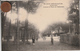 44 - Carte Postale Ancienne De Saint Brévin Les Pins  Avenue Et Place Du Ralliement - Saint-Brevin-les-Pins