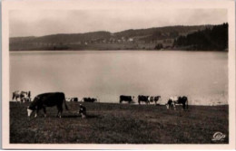 LAC De ST POINT. -  Dans Le Fond Les Grangettes. .   Non Circulée.   Photo Véritable. - Mouthe