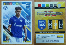 AC - 147 WESTON MCKENNIE  FC SHALKE 04  PANINI FIFA 365 2019 ADRENALYN TRADING CARD - Trading-Karten