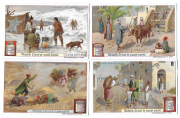 S 876, Liebig 6 Cards, L'eau Potable (ref B23) - Liebig