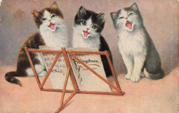 ANIMAUX & FAUNE - Chats - Trois Chatons En Train De Chanter - Carte Postale Ancienne - Katten