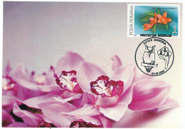 MAX 55 - 74 ORCHID, Romania - Maximum Card - 2006 - Cartoline Maximum