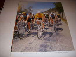 CYCLISME COUPURE LIVRE T560B COULEUR TdF1967 Roger PINGEON En JAUNE Lucien AIMAR - Sport