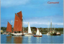 CAMARET. -  Rassemblement De Vieux Gréements Dans Le Port.     Non Circulée. - Camaret-sur-Mer