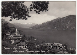 LIMONTA - OLIVETO LARIO - LAGO DI LECCO - SULLO SFONDO FIUMELATTE CENTRO LAGO - 1952 - Lecco