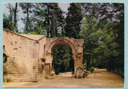 ARLES - NECROPOLE PALEOCHRETIENNE Des ALYSCAMPS - Porche Romain De L'ancienne église - Arles