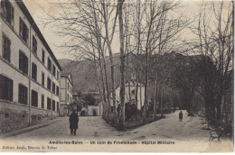 FR66 AMELIE LES BAINS - AZAIS émail - Un Coin De Promenade - Hôpital Militaire - Animée - Belle - Amélie-les-Bains-Palalda