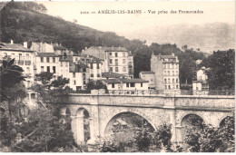 FR66 AMELIE LES BAINS - Brun 1002 - Vue Prise Des Promenades - Belle - Amélie-les-Bains-Palalda