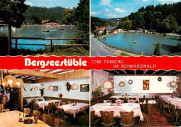 73927569 Triberg Bergseestueble Café Restaurant - Triberg