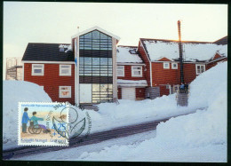 Mk Greenland Maximum Card 1996 MiNr 296 Y | Greenland Society Of Handicapped And Disabled #max-0060 - Cartas Máxima