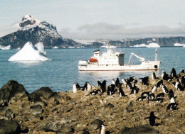 1 AK Antarctica / Antarktis * Penguin Island - Panorama Torre Point - King George Island - South Shetlands * - Other & Unclassified