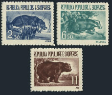 Albania 589-591,MNH.Michel 627-629. Animals 1961.Otter,Badger,Bear. - Albanie