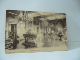 CHATEAU DE MOUCHY  60 OISE LE GRAND SALON  CPA - Other & Unclassified