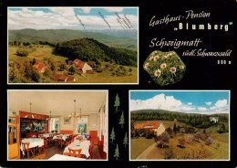 73927435 Schweigmatt_Schopfheim Panorama Gasthaus Pension Schweigmatt Gastraum - Schopfheim