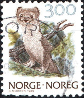 NORVEGIA, NORWAY, FAUNA, MAMMIFERI, 1989, USATI Mi:NO 1010, Scott:NO 880, Yt:NO 969 - Used Stamps