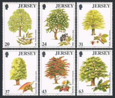 Jersey 812-817,MNH.Michel 793-798. Trees 1997.Ash,Elder,Beech,Sweet Chestnut,Oak - Jersey
