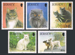 Jersey 661-665,MNH. Mi 645-649. Cats 1994.Maine Coon,British Short-hair,Persian, - Jersey