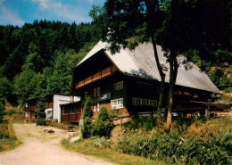 73927272 Gremmelsbach_Triberg Pension Schoch - Triberg