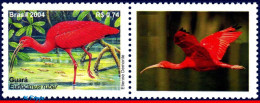 Ref. BR-2921A-2 BRAZIL 2004 - MANED, BIRDS,PERSONALIZED MNH, ANIMALS, FAUNA 1V Sc# 2921A - Flamingos