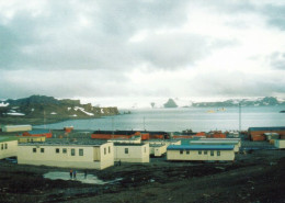 1 AK Antarktis / Antarctica * Base Eduardo Frei - Chilenische Forschungsstation Auf Der Insel King George * - Andere & Zonder Classificatie