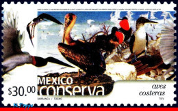 Ref. MX-2377 MEXICO 2004 - CONSERVATION, COASTAL,BIRDS, (30.00P), MNH, BIRDS 1V Sc# 2377 - Albatro & Uccelli Marini