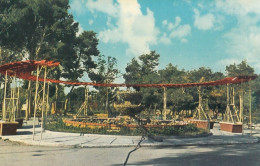 Larnaca - Public Gardens 1967 - Chipre