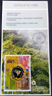 Brochure Brazil Edital 1999 13 Forest Fires Parks Map Without Stamp - Lettres & Documents