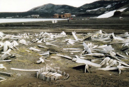 1 AK Antarctica * Deception Island - Whalers Bay - Old Whaling Relicts - Ex British Base - South Shetland Islands * - Autres & Non Classés