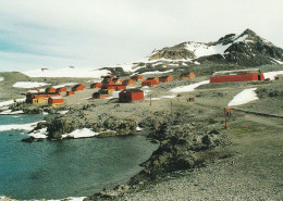 1 AK Antarctica / Antarktis * Base Esperanza (Argentinien) - Sie Liegt Am Nördlichen Ende Der Antarktischen Halbinsel * - Sonstige & Ohne Zuordnung