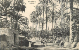 Tunisia Tozeur - Tunisia