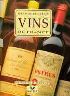 François Collombet Et Jean Paul Paireault. Grands Et Petits Vins De France, Préface De Jean Carmet, Hatier, 1992 - Gastronomie