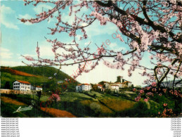 64.  BIRIATOU Vu Depuis L'Espagne .  PRINTEMPS EN PAYS BASQUE . - Biriatou