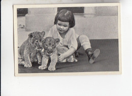 Mit Trumpf Durch Alle Welt Tiere Und Kinder I Mädchen Mit Jung - Löwen    C Serie 10 # 1 Von 1934 - Zigarettenmarken