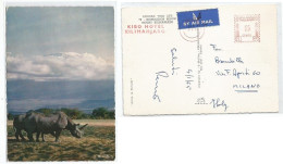 East Africa KUT Red Meter Franking Moshi 5jan1965  Kibo Hotel Kilimanjaro C65 Airmail Pcard Rhino & Mount K. X Italy - Tansania (1964-...)