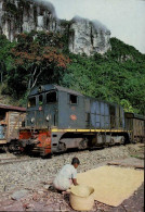 MADAGASCAR   ( AFRIQUE )    LIGNE FERROVIERE FIANAR-MANAKARA - Trains