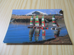 Brest (29).La Maison De La Mer (Océanopolis) Et L'école De Voile Du Moulin Blanc - Carte Animée. - Brest