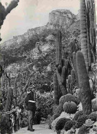 Monaco - Le Jardin Exotique - CPM - Voir Scans Recto-Verso - Jardin Exotique