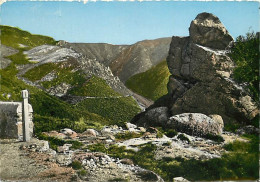 30 - Gard - Le Massif Du Mont Aigoual - Les Cévennes Du Col Minier (1270 M) - CPM - Voir Scans Recto-Verso - Autres & Non Classés