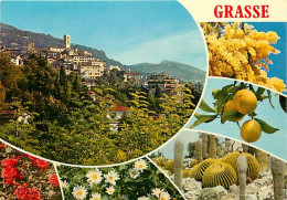 06 - Grasse - Multivues - Fleurs - Citrons - CPM - Carte Neuve - Voir Scans Recto-Verso - Grasse