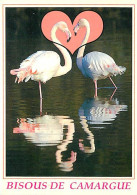 Oiseaux - Flamants Roses - Camargue - Flamingos - CPM - Voir Scans Recto-Verso - Birds