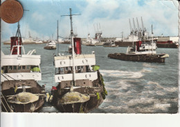 76 - Carte Postale Semi Moderne Du  HAVRE   Les Abeilles - Porto