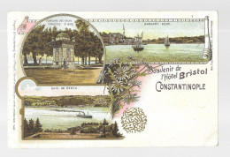 Constantinople, Souvenir De L'hotel Bristol. Carte Inédite (A18p73) - Turquia