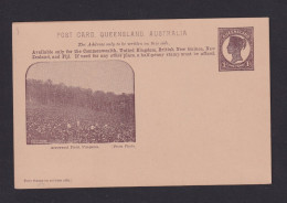1901 - 1 P. Bild-Ganzsache "Arrowroot Field" - Ungebraucht  - Textil