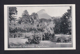 1 P. Bild-Ganzsache "Botanical Gardens Capetown" - Ungebraucht - Árboles