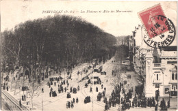 FR66 PERPIGNAN - Couderc - Les Platanes Et Allées Des Marroniers - Animée - Belle - Perpignan