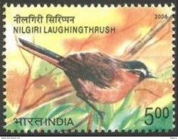INDIA 2006 ENDANGERED BIRDS 1v Stamp MNH, As Per Scan, P.O Fresh & Fine - Ungebraucht