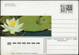 URSS 1975 Entier Postal. Grenouille Faisant Du Bateau Sur Un Nénuphar - Ranas