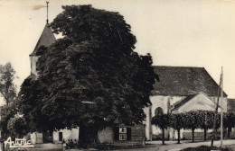 Delcampe - Yonne - Cheny - L'Eglise - Cheny